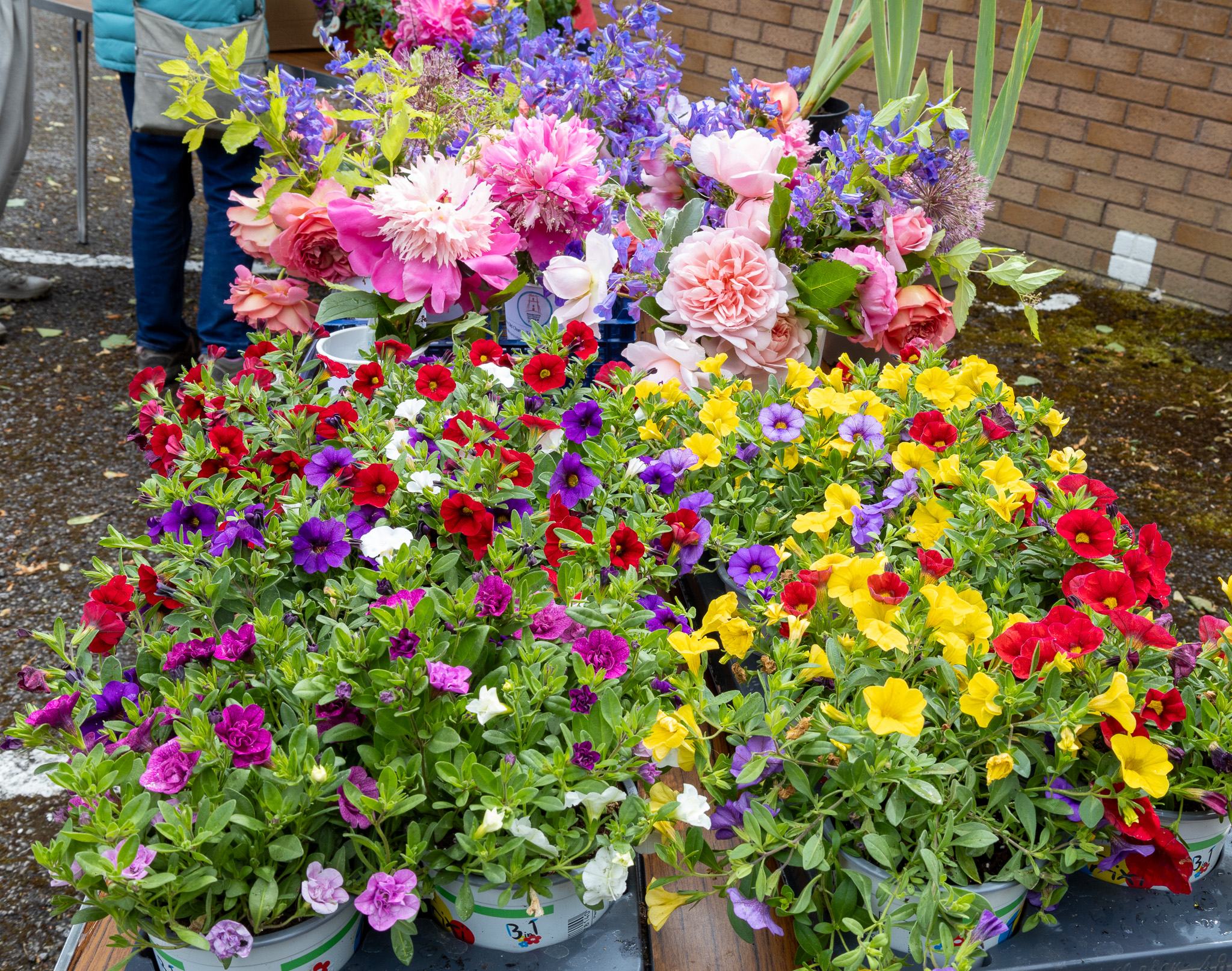 Plant Sale