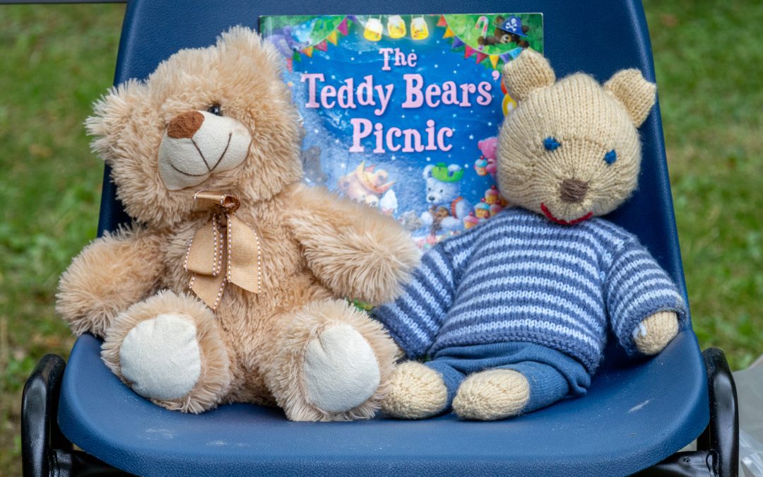 Teddy Bears’ Picnic – review