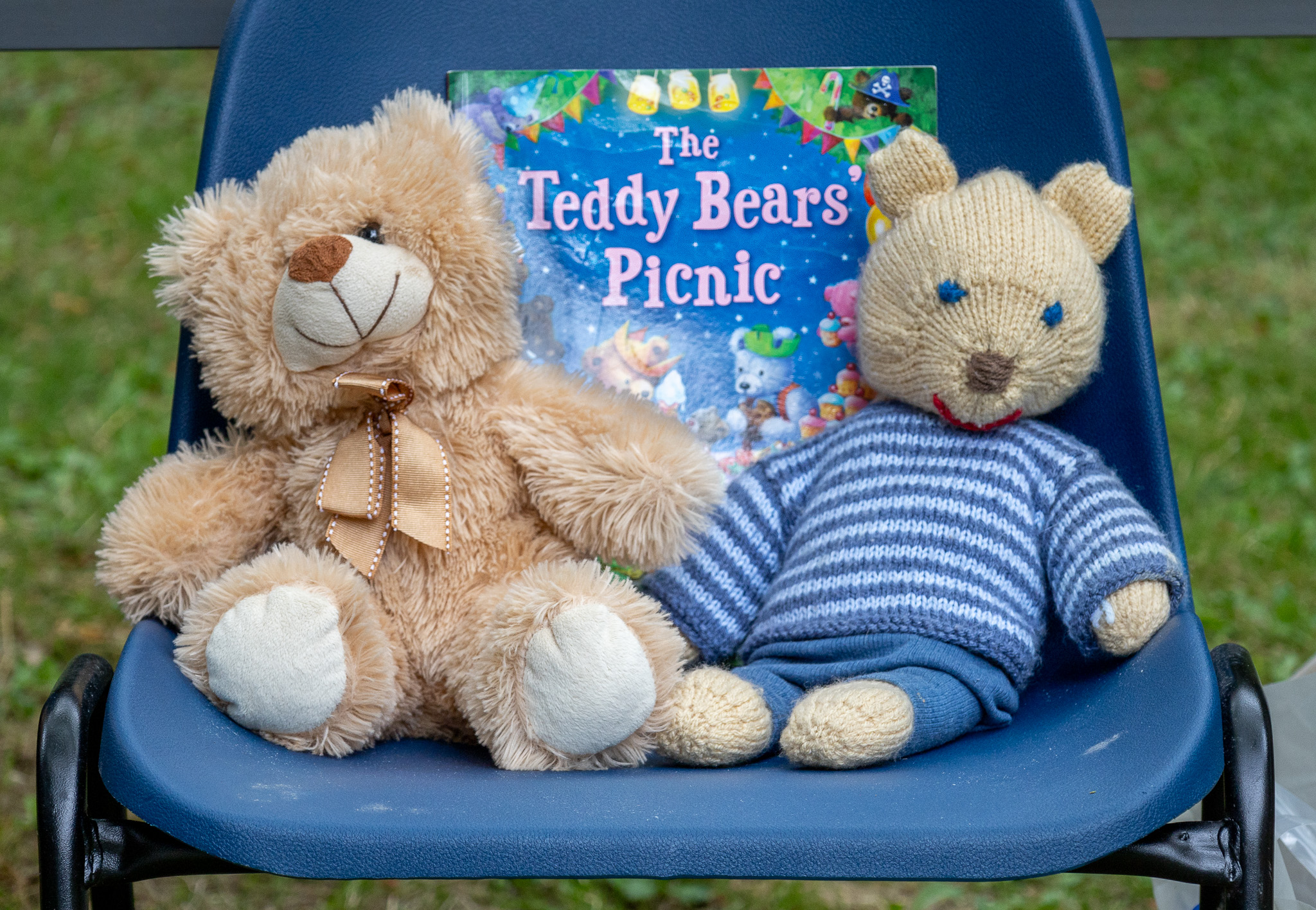 Teddy Bears' Picnic