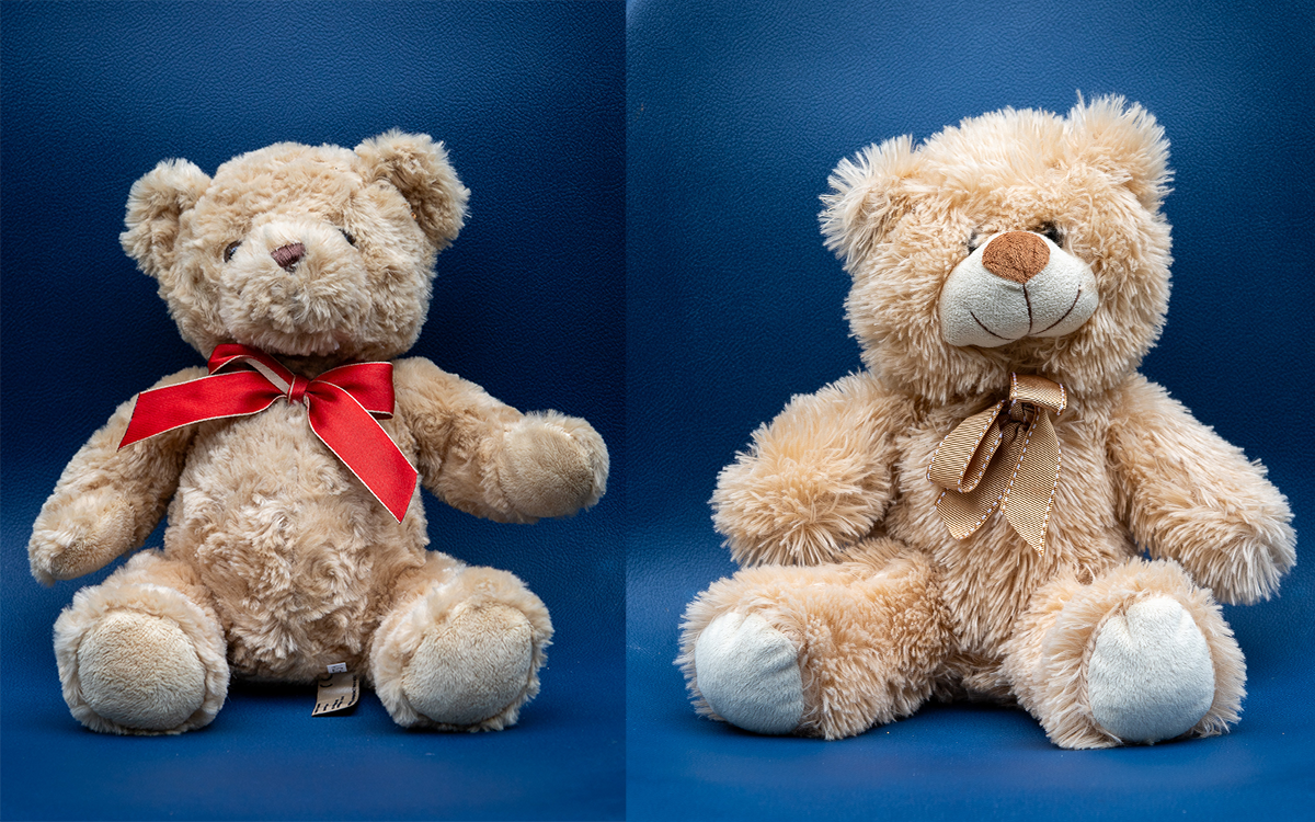 Ivy and Carl Teddies