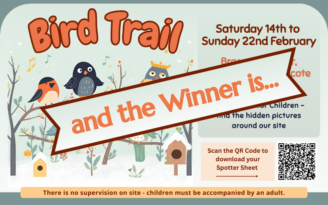 Bird Trail winner…
