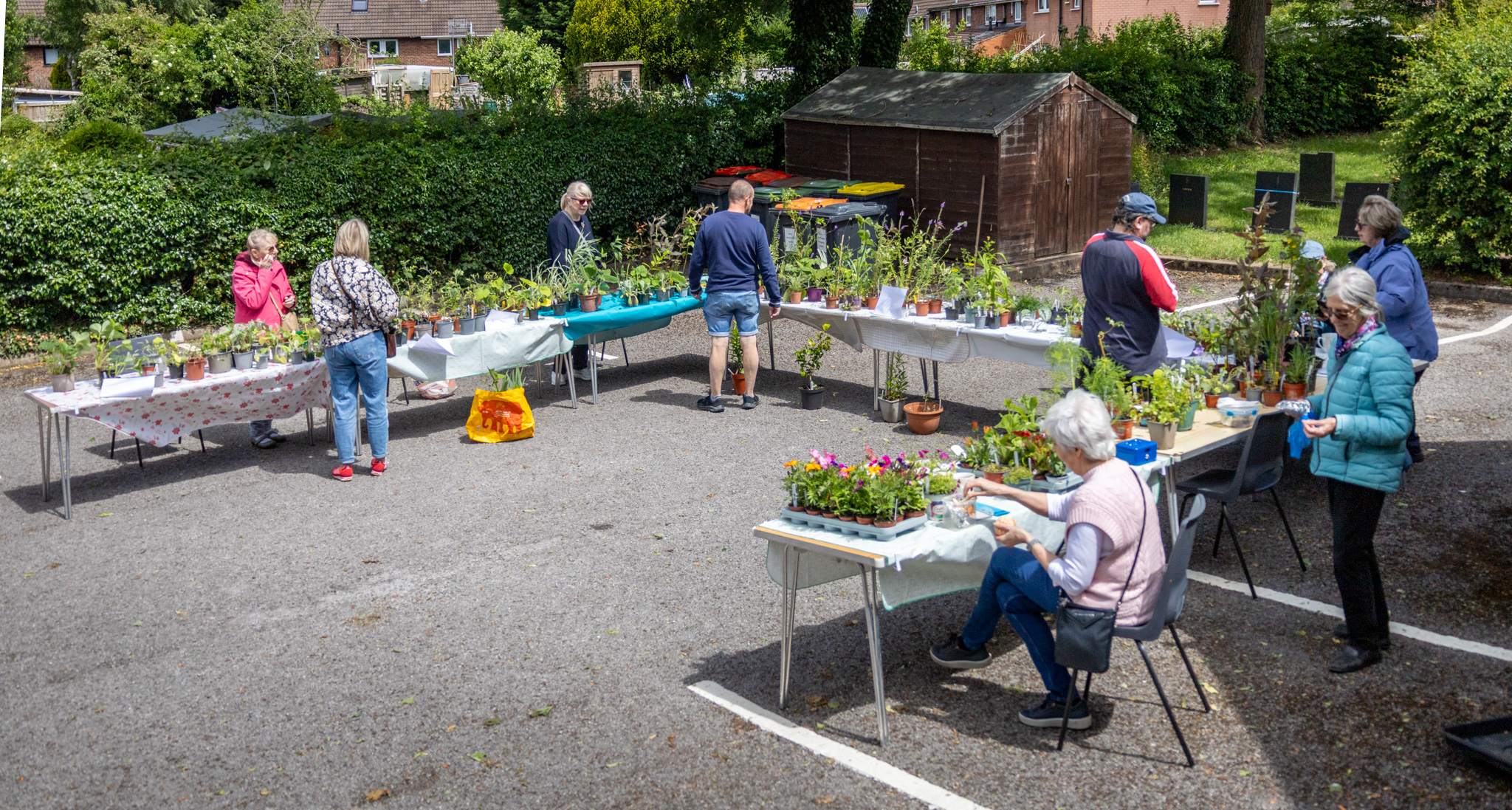 Plant Sale June 2026