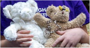 TBP teddies 3